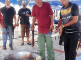 Program Gotong-Royong